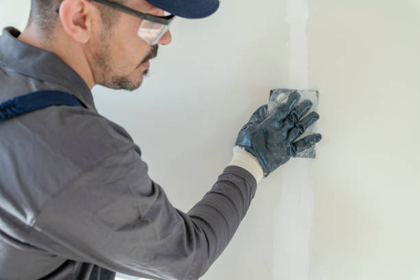 Best Forensic Mold Investigation  in Bellevue, PA