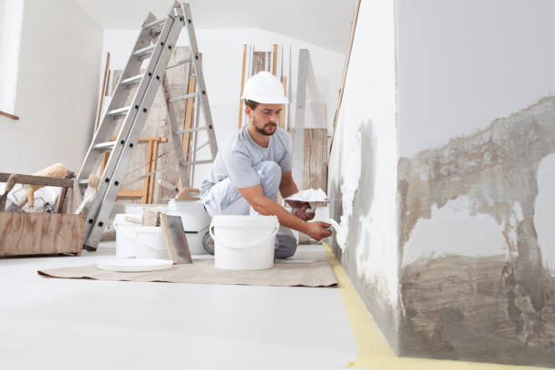 Best Real Estate Mold Inspection  in Bellevue, PA
